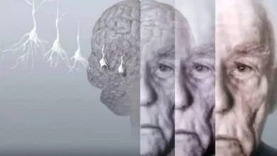 ۵ روش برای حفظ عملکرد مغز